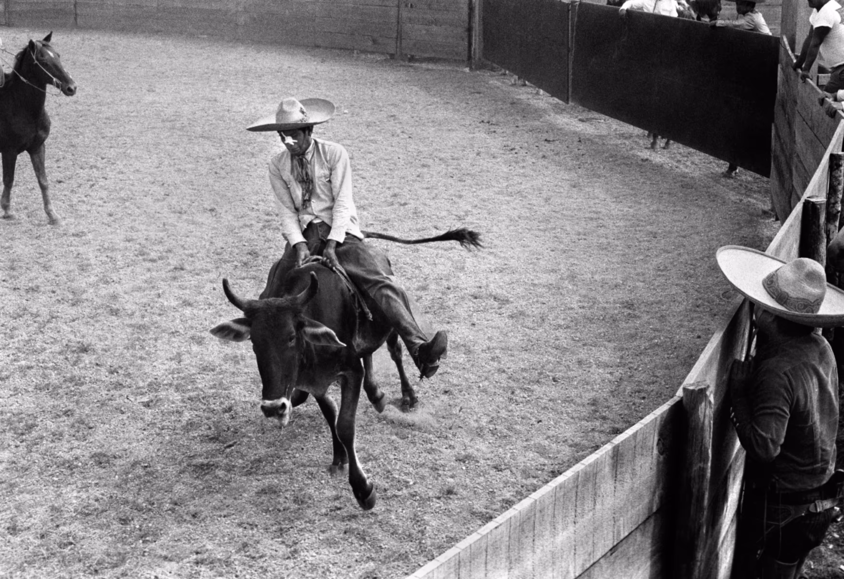A cowboy riding a bucking bull in a rodeo arena, with spectators watching from behind a wooden fence. A horse is seen in the background, and some spectators wear wide-brimmed hats.