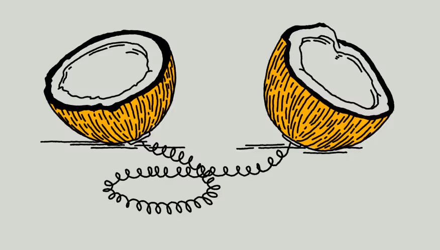 An illustration of two halves of a coconut connected by a coiled wire. The inner part of the coconut is visible, highlighting its texture and color, against a light green background.