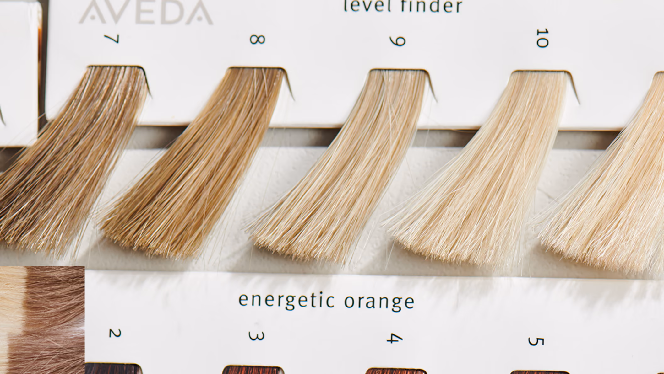 Kreativ hårfarge og styling hos HOPE – moderne uttrykk med plantebaserte produkter