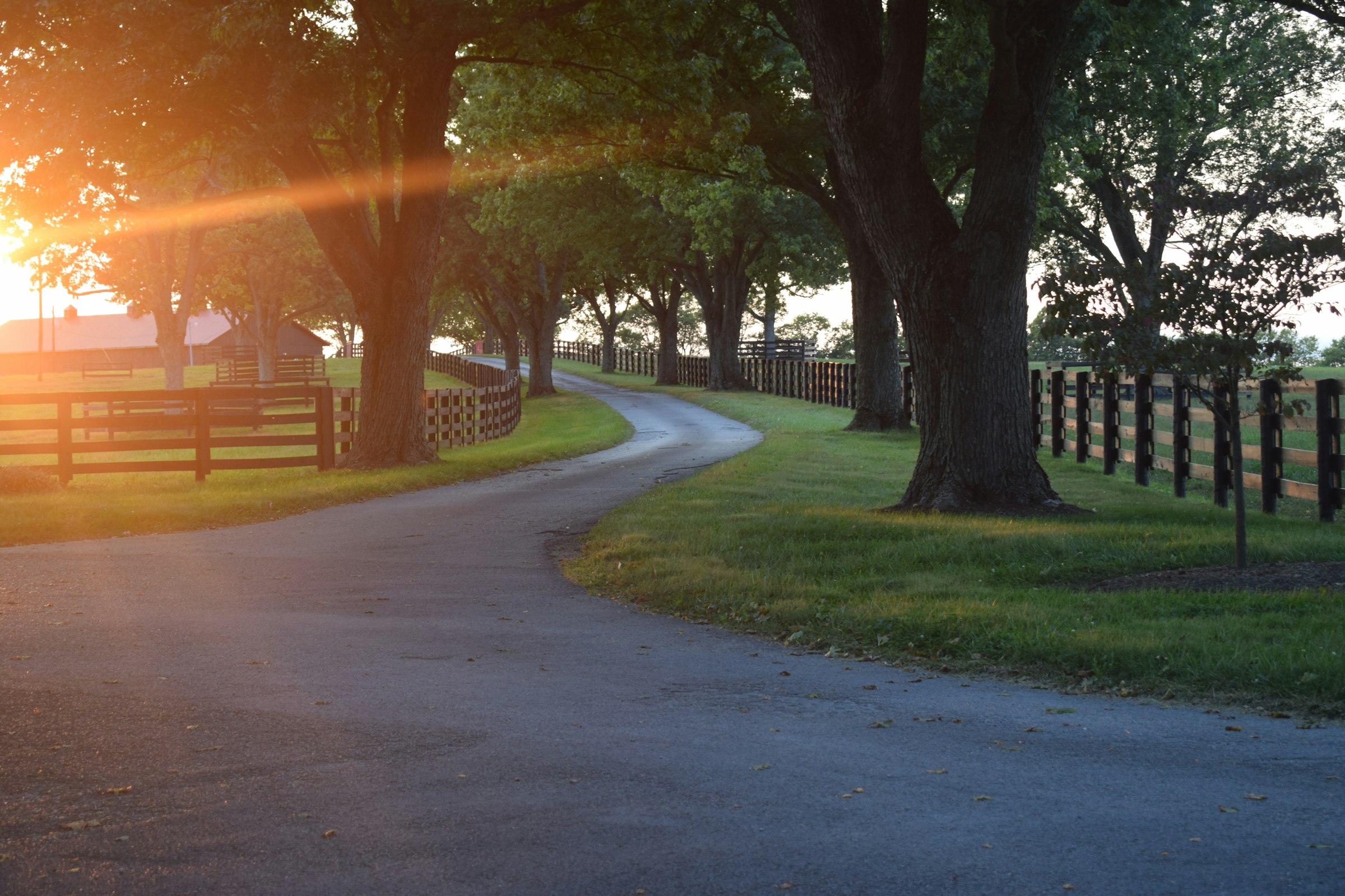 Winding road through a Kentucky horse farm at sunset