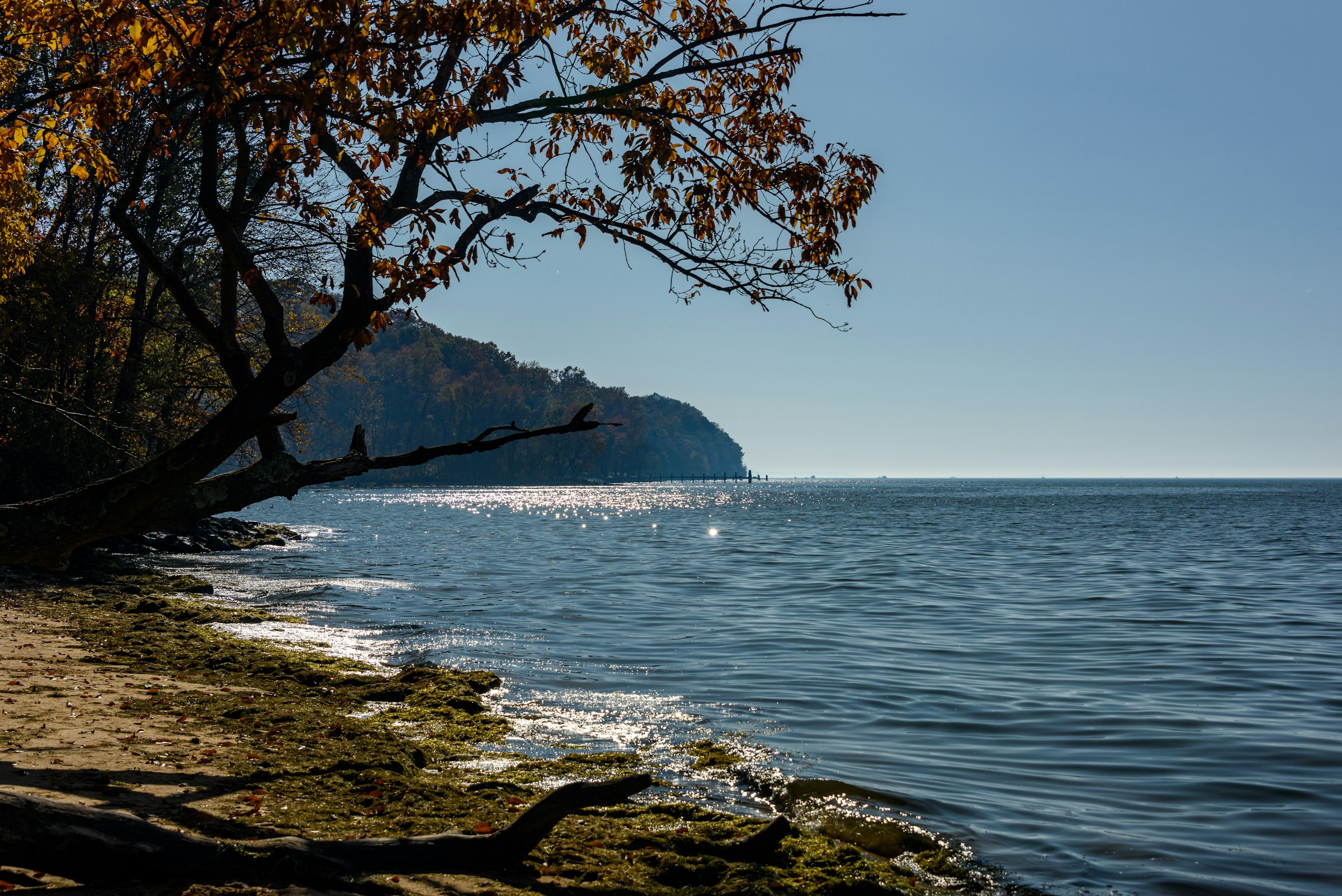 The Chesapeake Bay on a fall day near North East, Maryland