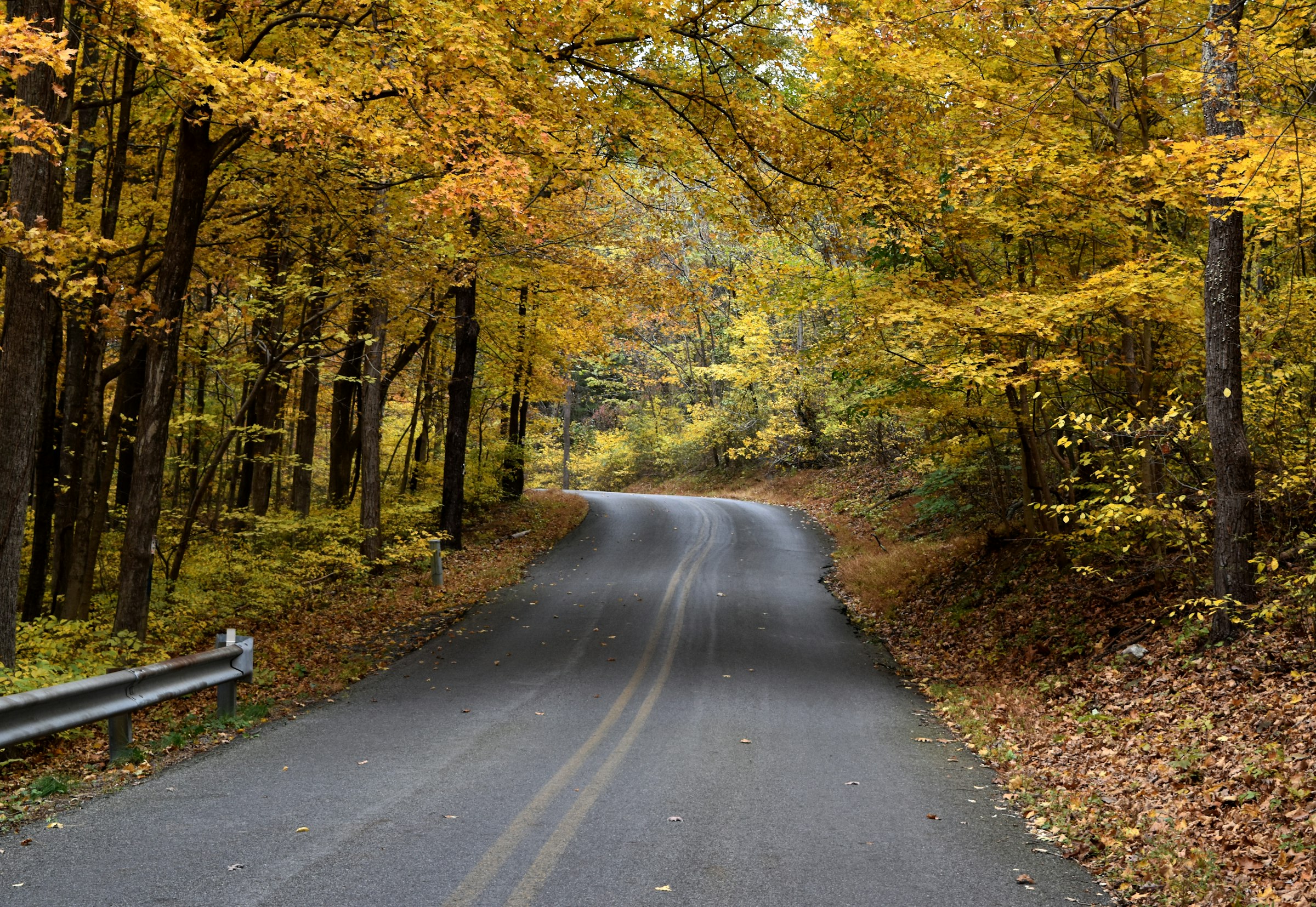 Autumn trees along the National Pike in Hagerstown, Maryland