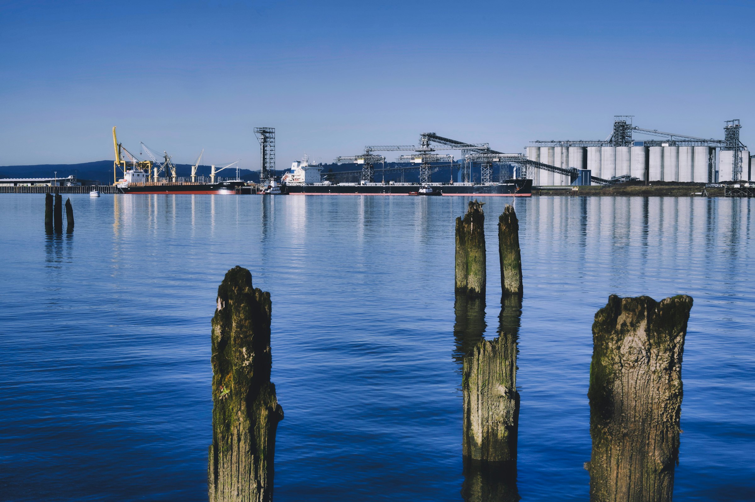 Ships docked on the Columbia River in Longview, Washington