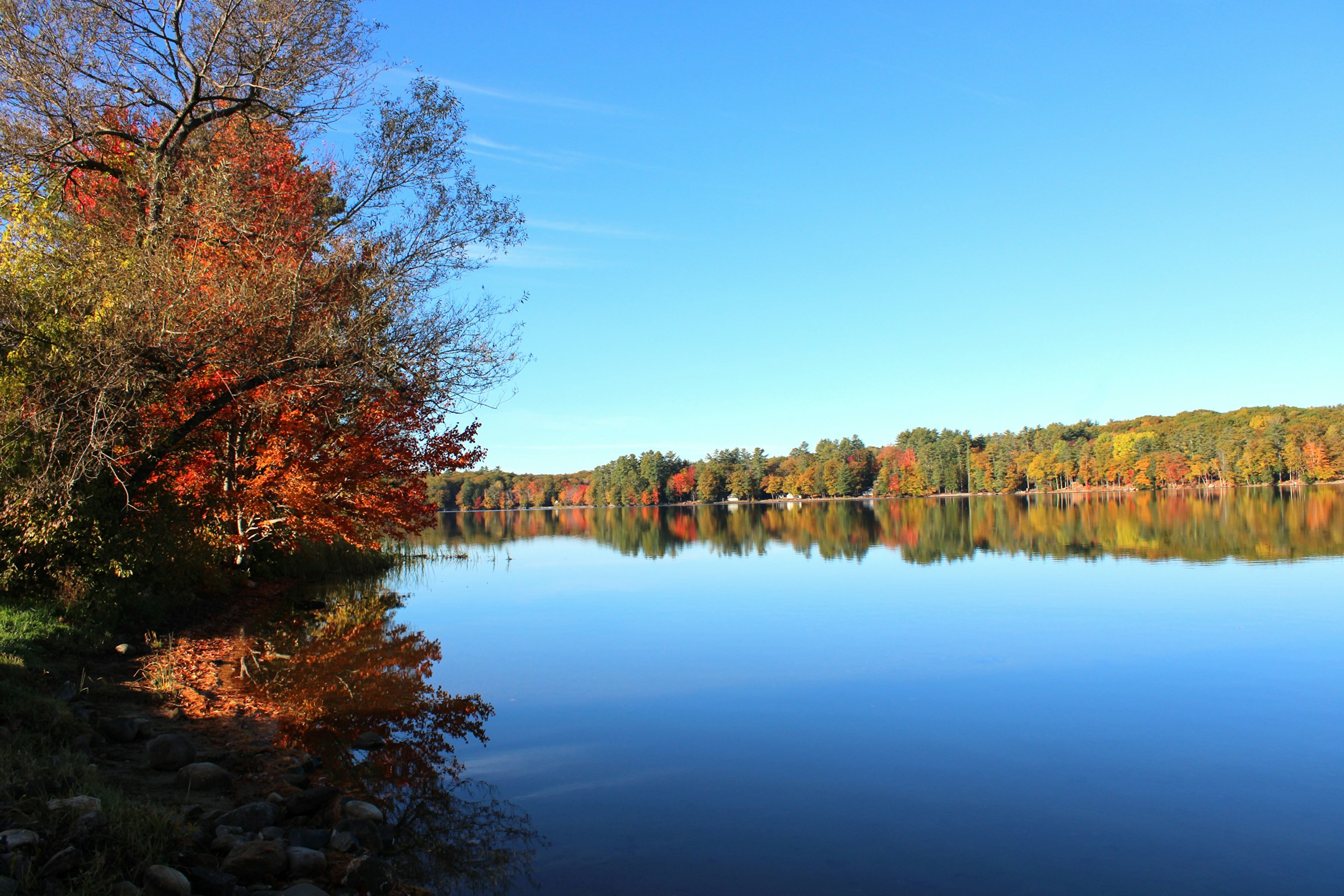 Autumn trees reflected in a lake in central Maine