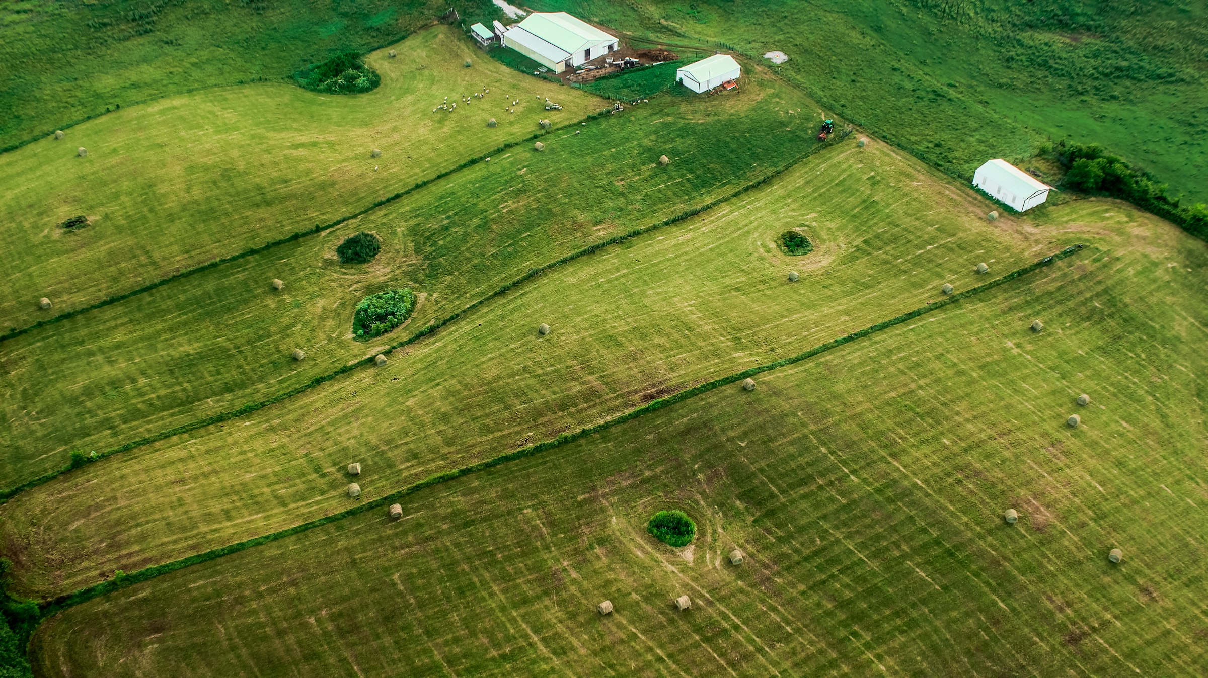 Aerial view of rolling farmland and a barn outside Bowling Green, Kentucky