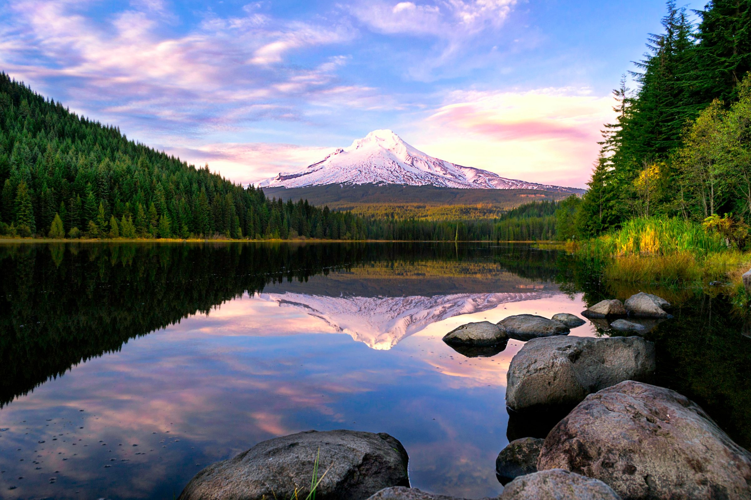 Mount Hood reflected in Trillium Lake surrounded by evergreen forest in Oregon