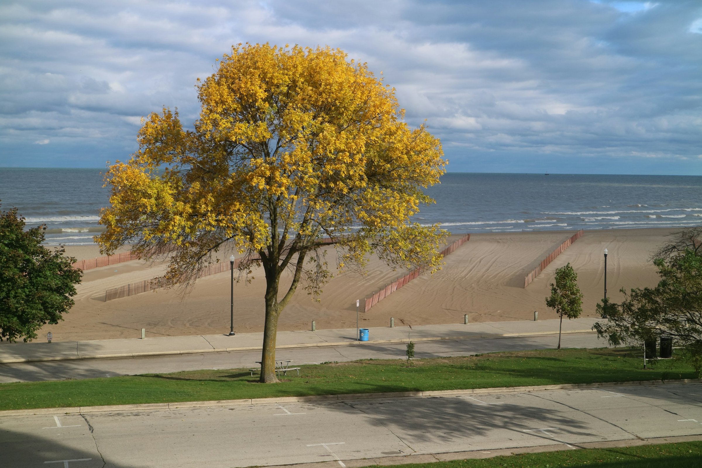 Autumn tree above North Beach on Lake Michigan in Racine, Wisconsin