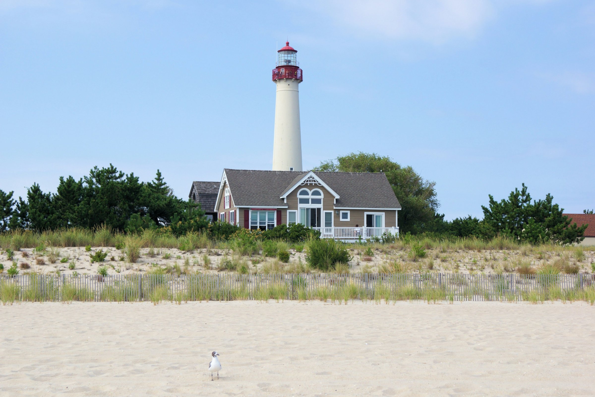 Cape May Lighthouse above the dunes in Cape May, New Jersey