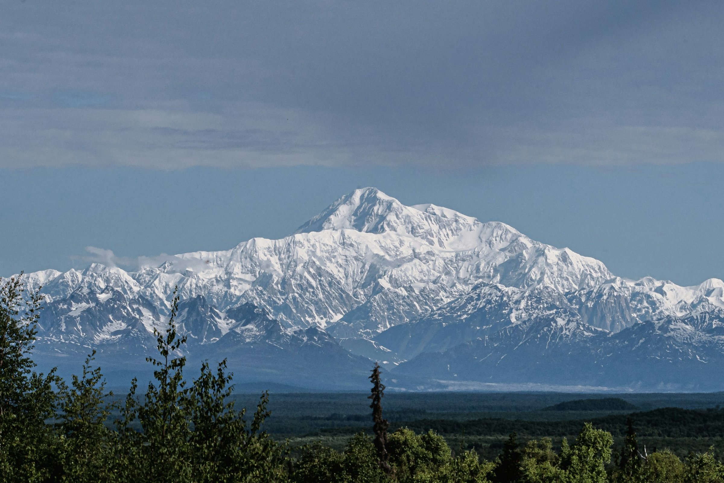 Denali rising above the forest in Denali National Park, Alaska