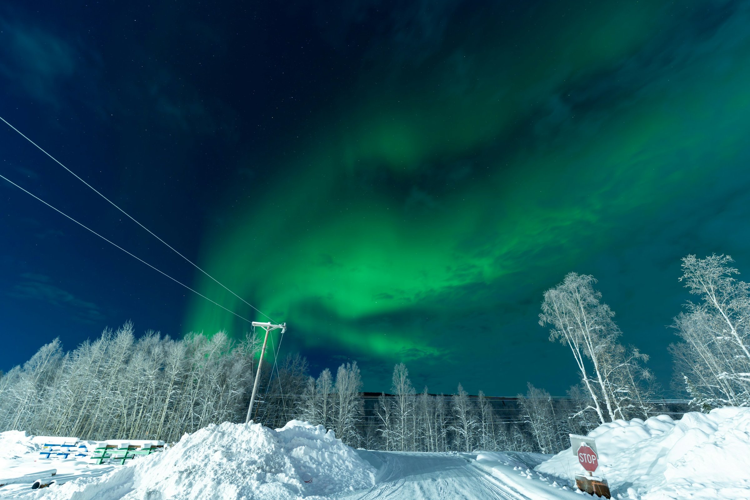 Aurora borealis over snow-covered trees near Fairbanks, Alaska