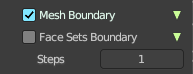Mesh Boundary
