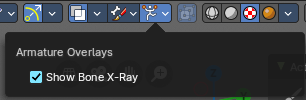 Show Bone X Ray