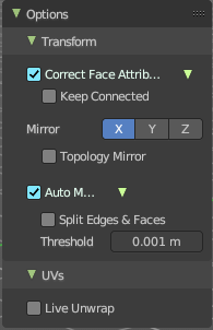 Mesh Object - Options Panel