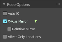 Pose Options Panel