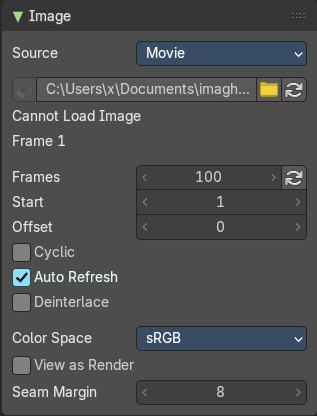 Source Type Movie + Image Sequence