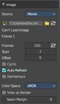 Source Type Movie + Image Sequence