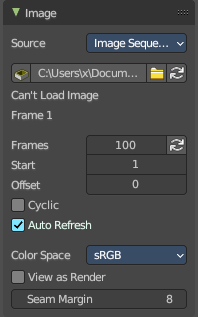 Source Type Movie + Image Sequence
