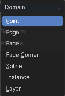 Domain Type