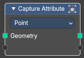 Capture Attribute