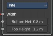 Kite