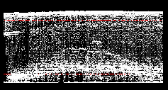 Luma Waveform
