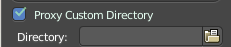 Proxy Custom Directory
