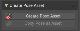 Sidebar - Create Pose Asset panel