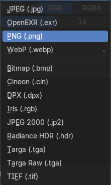File Format
