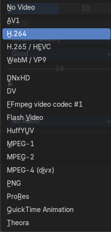Video Codec