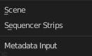 Metadata Input