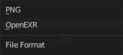File Format