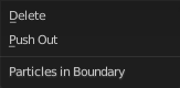 Particles in Boundary