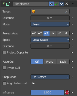 Project
