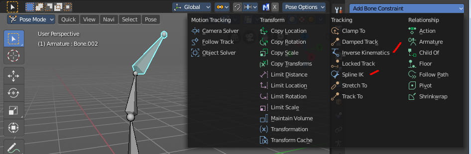 Bone Constraints