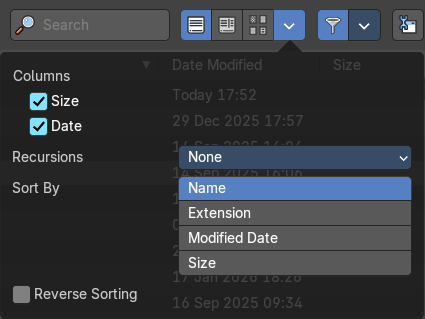 Display Options