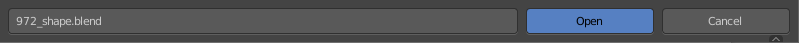 File Name