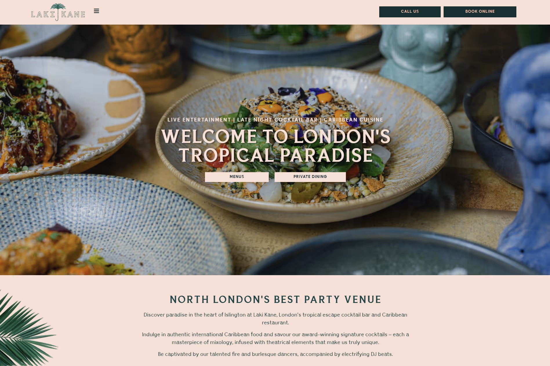 Screenshot of Lake Kane's website