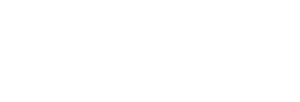 Coca-Cola logo