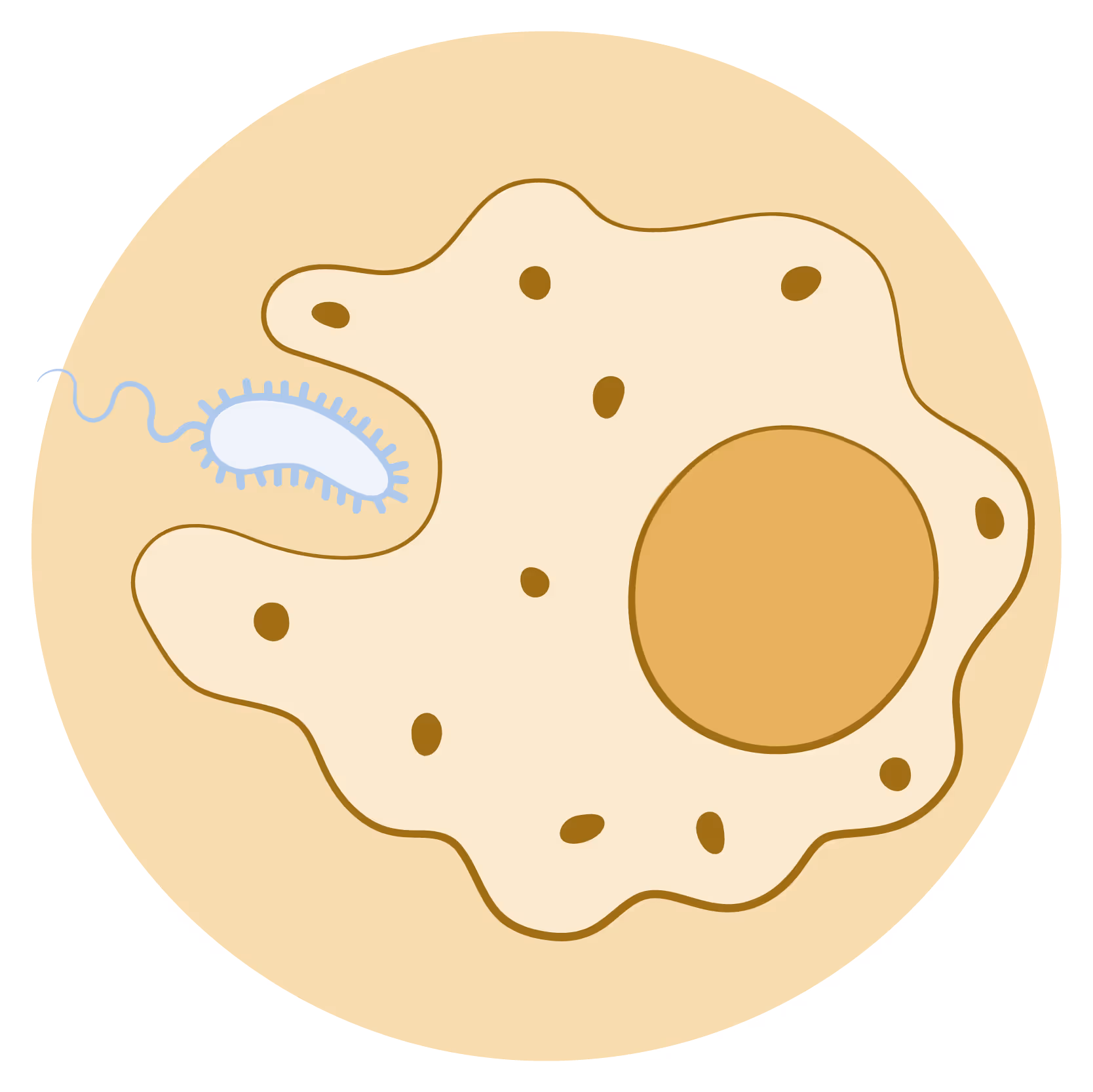 Cell and bacteria illustration