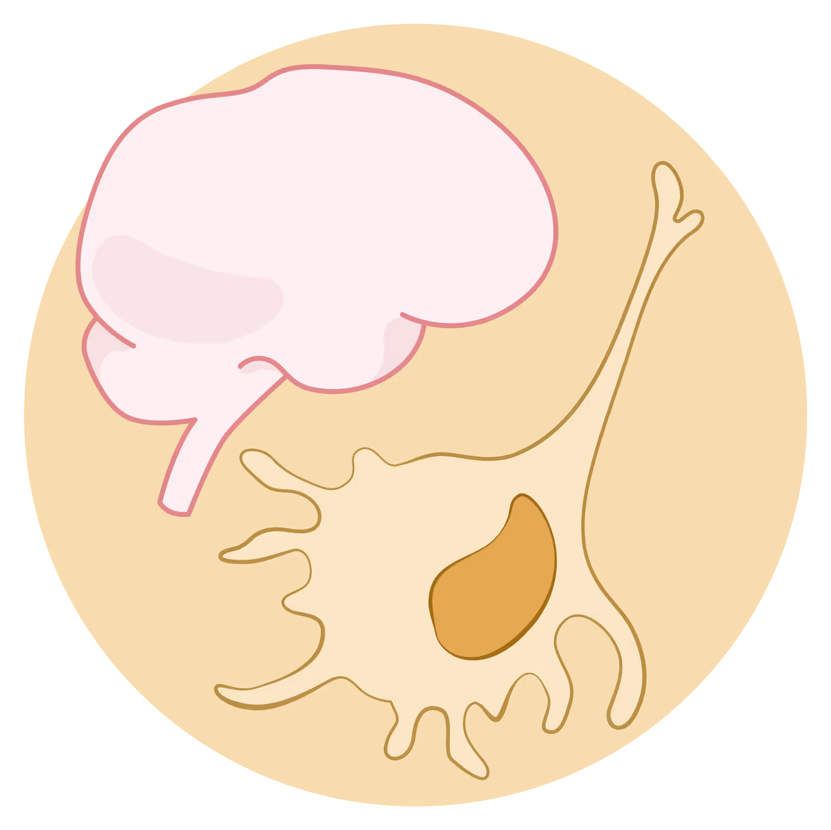 Brain and neurons illustration