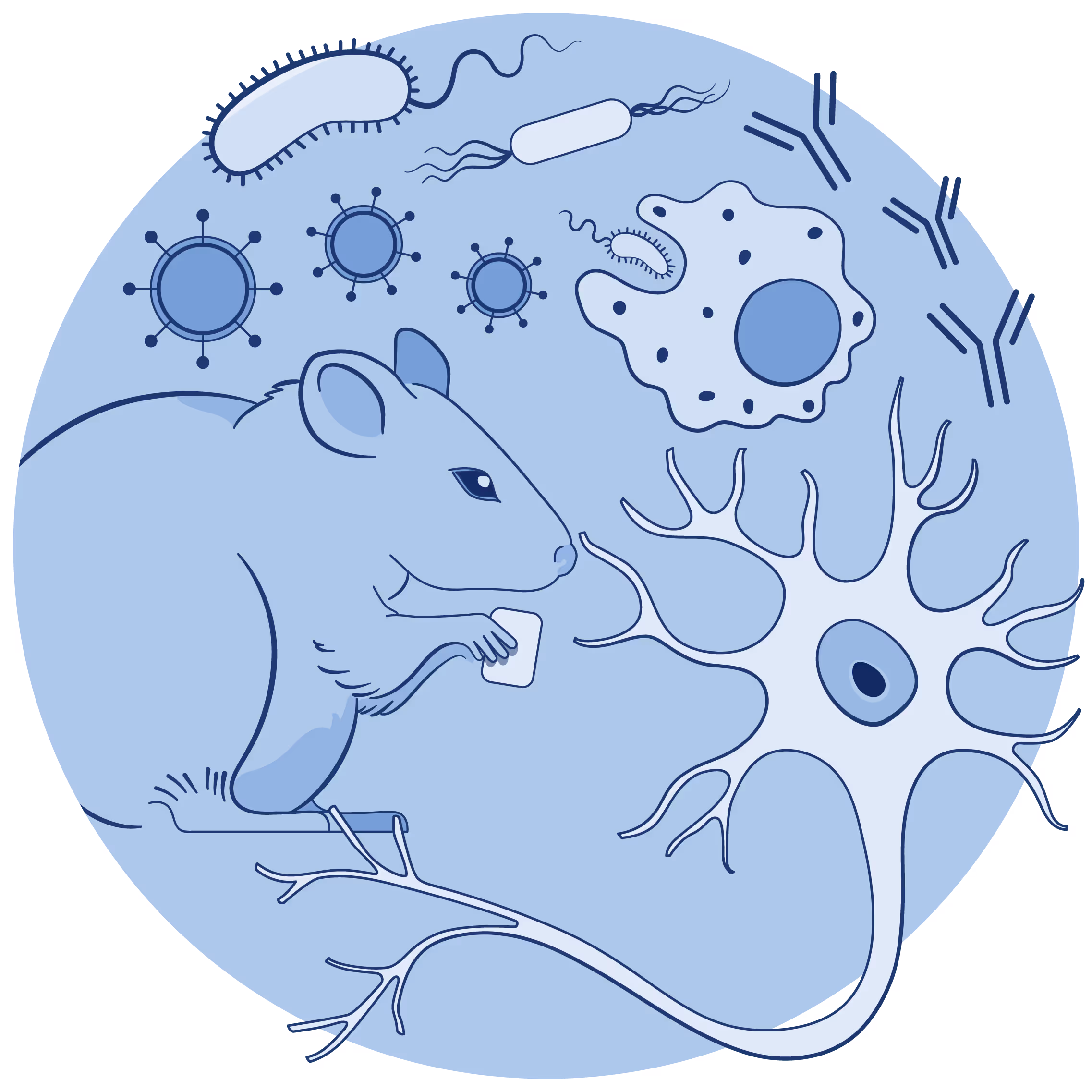 Mice and neuron illustration