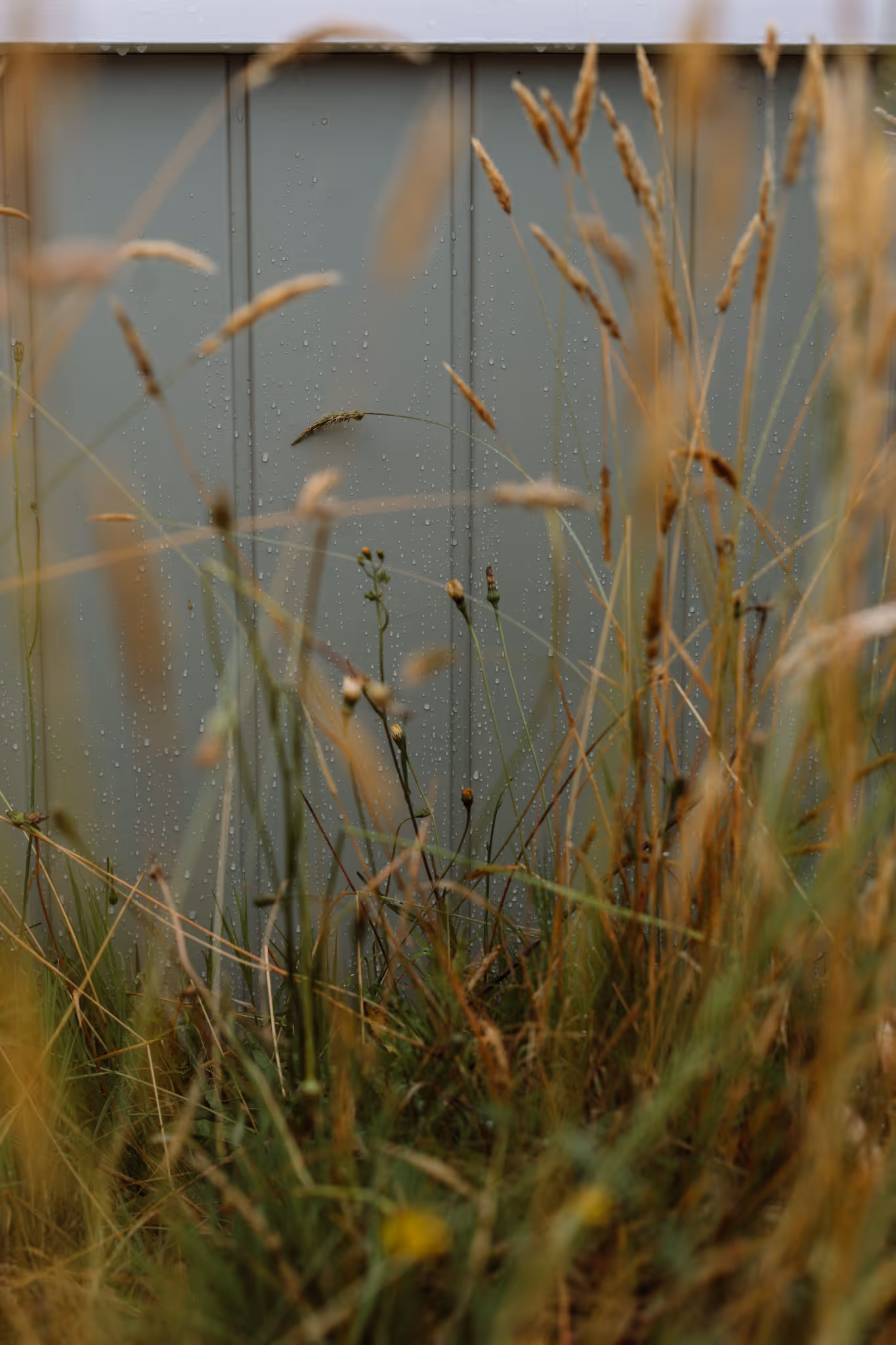 Star Baths outdoor bath in sage painted finish with rain droplets, blending naturally into a New Zealand coastal landscape