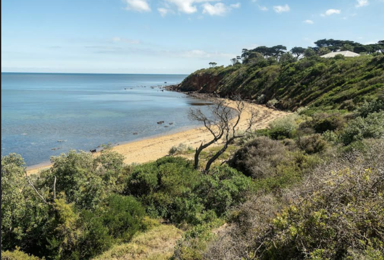 The Best Way to Get from Mornington Peninsula to Melbourne Airport