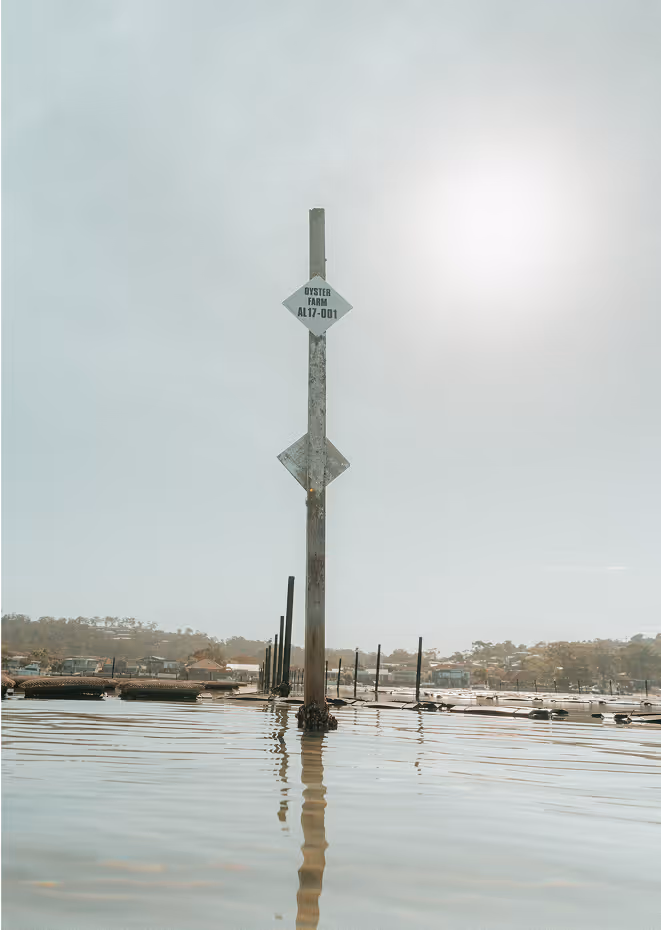 A tall sign in the water indicating the oyster farm