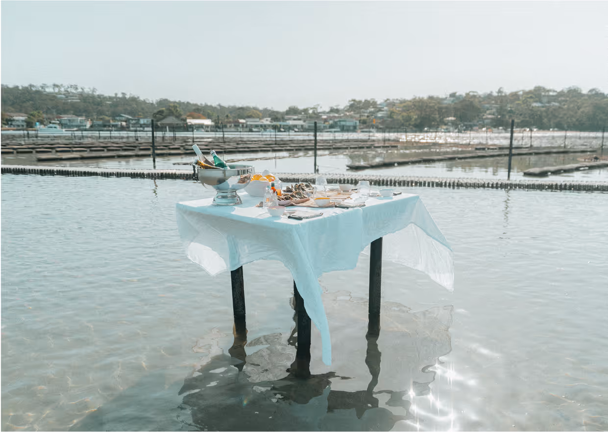 Fresh oysters and a bottle of champagne arranged on a square table