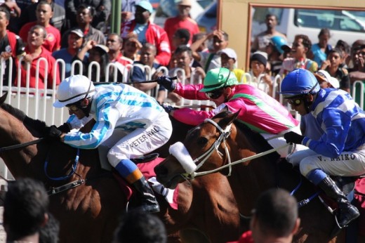 Horse Racing and Hotel Stayover