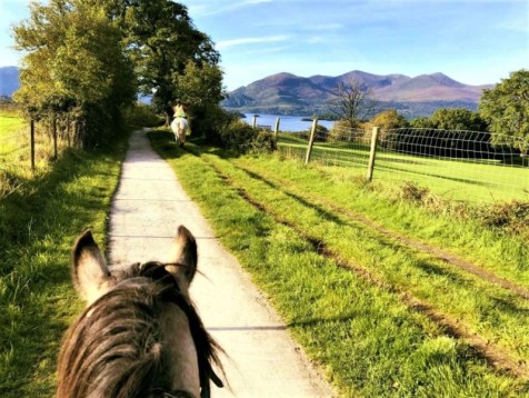 Horse Riding Tour in Killarney National Park - For One