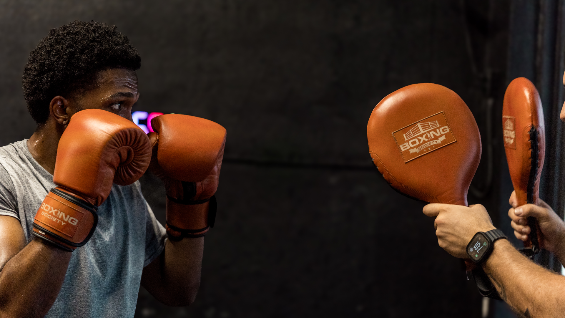 Header Image
