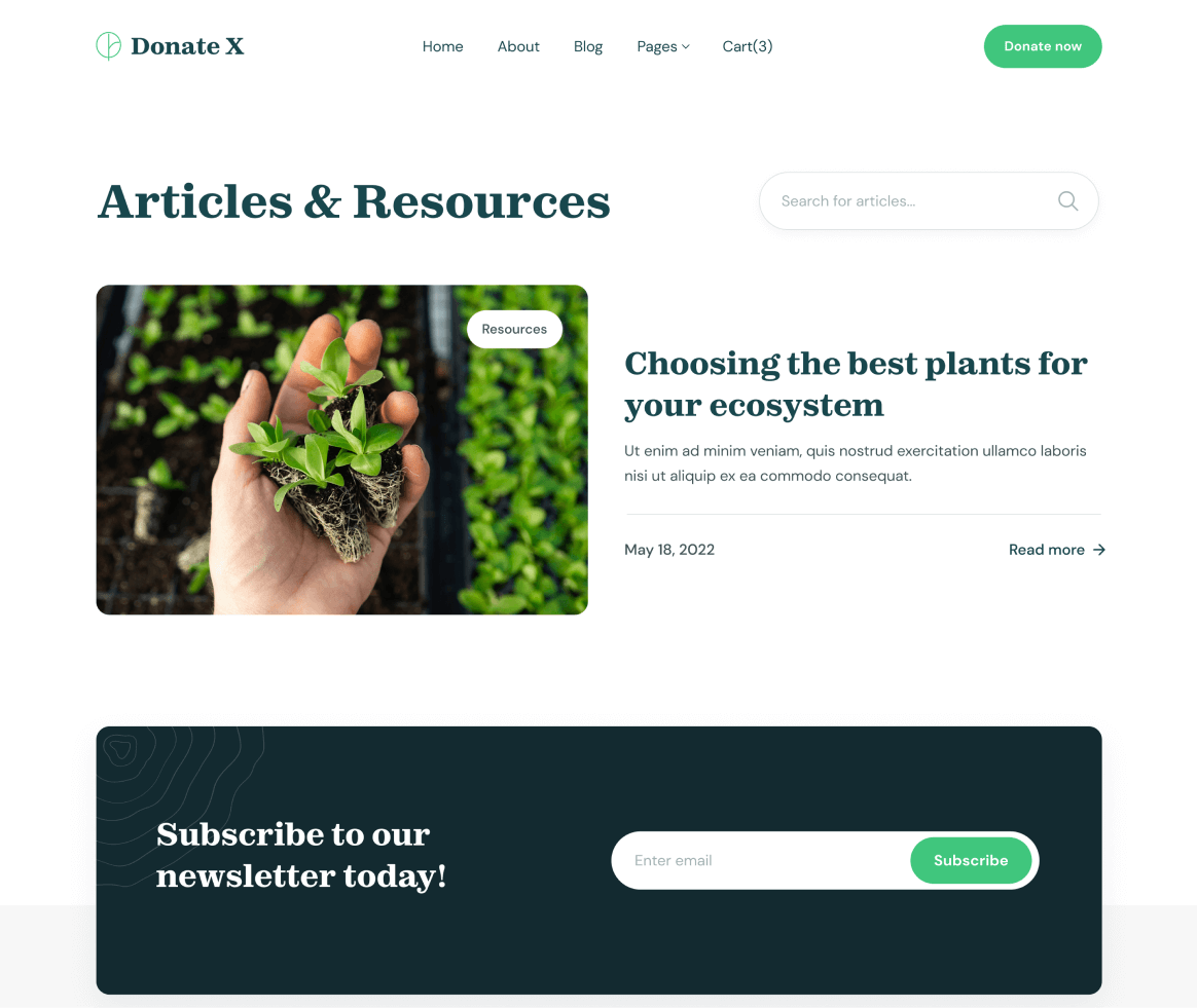 Donate X - Blog page - Charity & Nonprofit Webflow Template