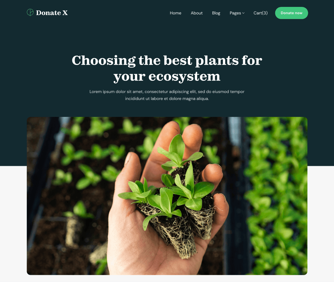 Donate X - Blog Post page - Charity & Nonprofit Webflow Template
